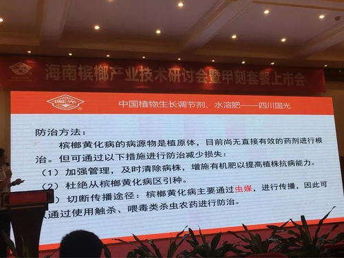 創(chuàng)新共贏 2018檳榔產業(yè)技術研討交流會——技術推廣服務賦能產業(yè)升級